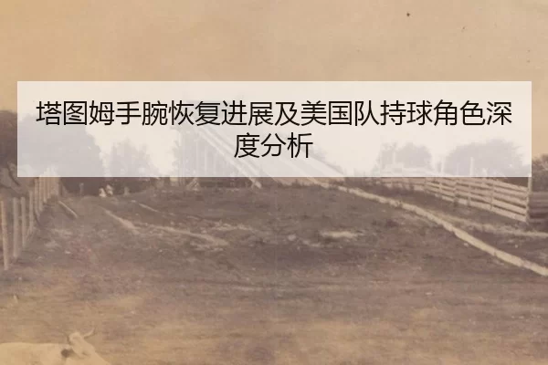 塔图姆手腕恢复进展及美国队持球角色深度分析